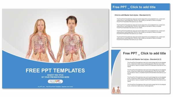 Anterior View Of Human Body PowerPoint Templates Slidesgo Templates