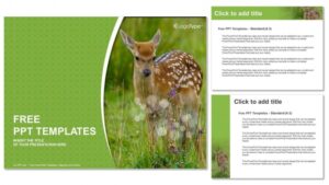 Young sika deer PowerPoint Templates - Slidesgo templates